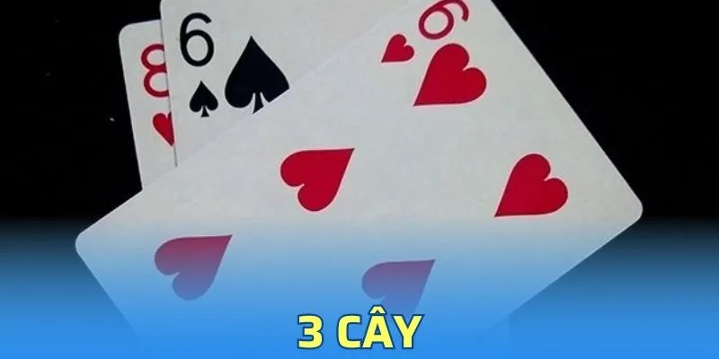 Tất Tần Tật Cách Chơi Bài 3 Cây Luôn Thắng Từ Các Cao Thủ