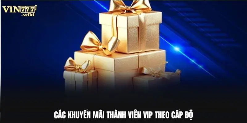 Các khuyến mãi thành viên VIP theo cấp độ