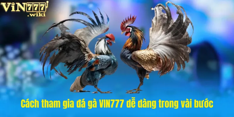Cách tham gia đá gà VIN777 dễ dàng trong vài bước