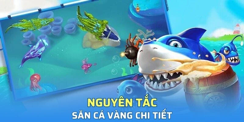 Khám phá nguyên tắc săn cá vàng dễ hiểu dành cho người mới