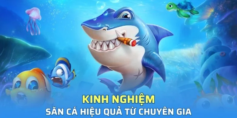 Những cách săn cá hiệu quả chuyên gia mách bạn