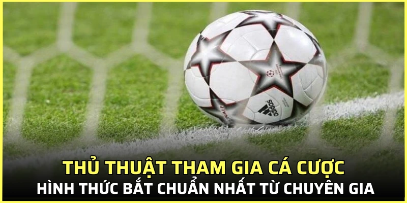 Thủ thuật tham gia cá cược hình thức kèo chuẩn nhất từ chuyên gia