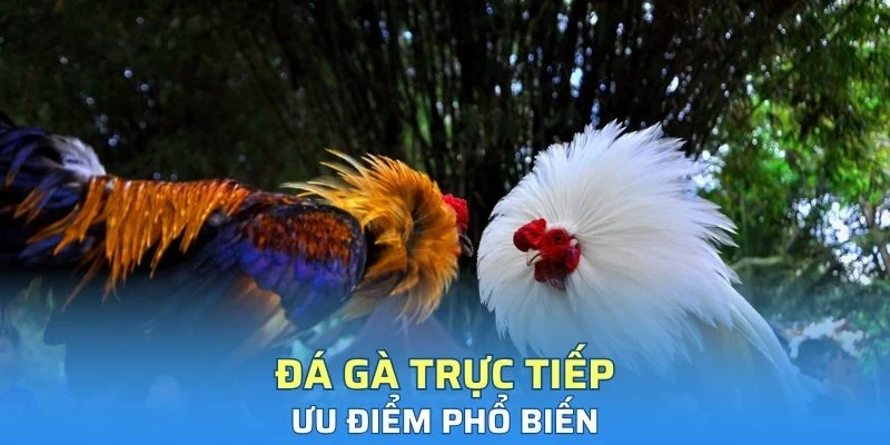 Ưu điểm phổ biến có tại trò chơi