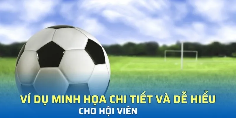 Ví dụ minh họa chi tiết và dễ hiểu cho hội viên